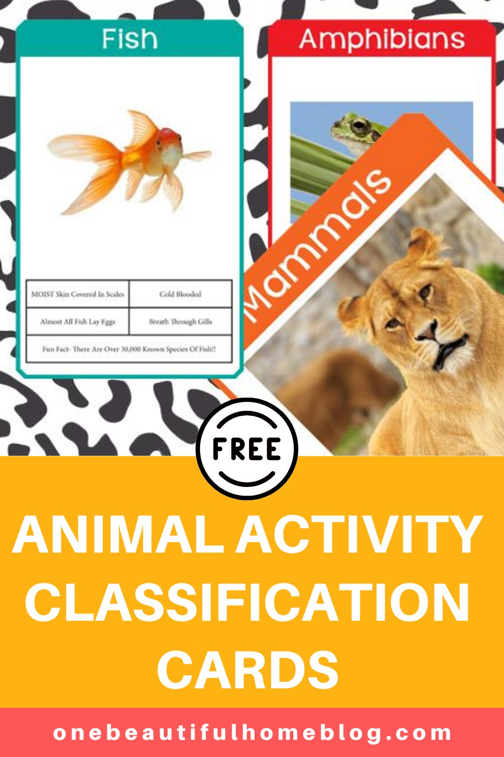 animal classification chart
